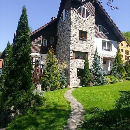 Pension Casa Contelui Râșnov Zewnętrze zdjęcie
