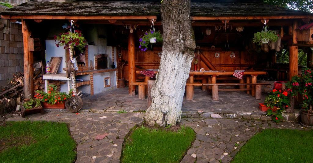 Pension Casa Contelui Râșnov Zewnętrze zdjęcie