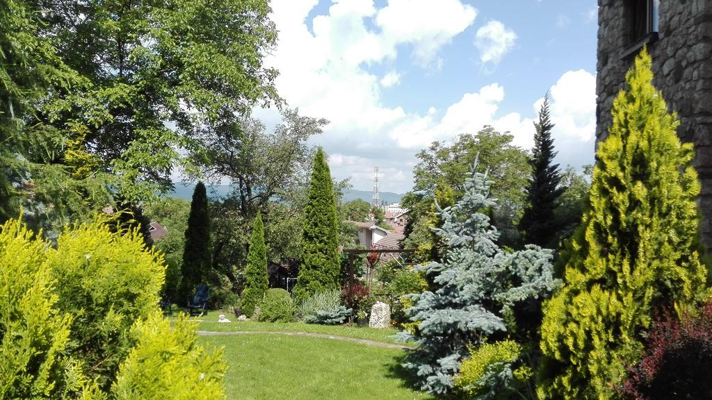 Pension Casa Contelui Râșnov Zewnętrze zdjęcie