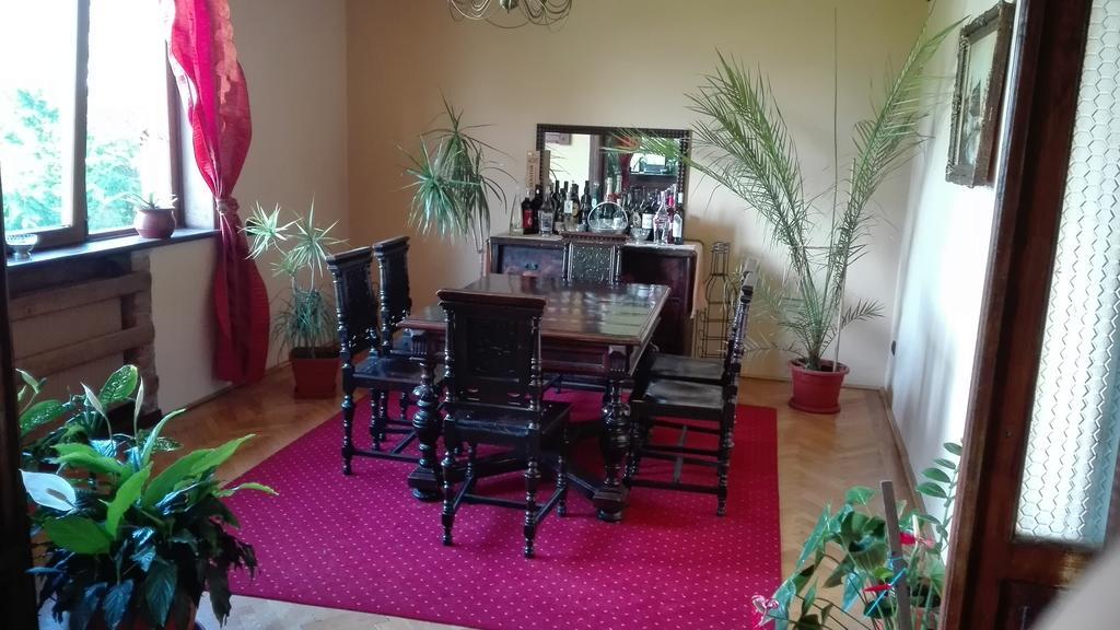 Pension Casa Contelui Râșnov Zewnętrze zdjęcie