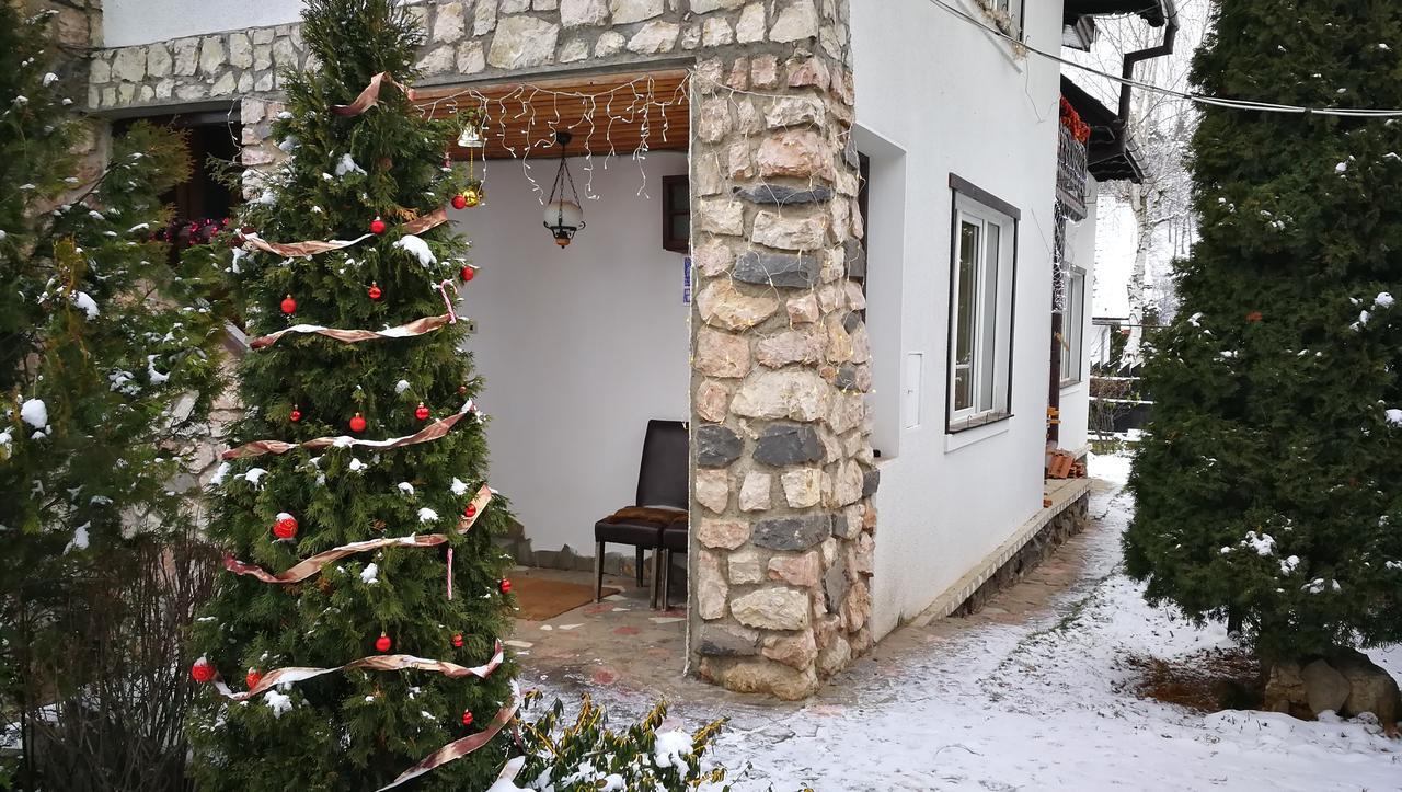 Pension Casa Contelui Râșnov Zewnętrze zdjęcie