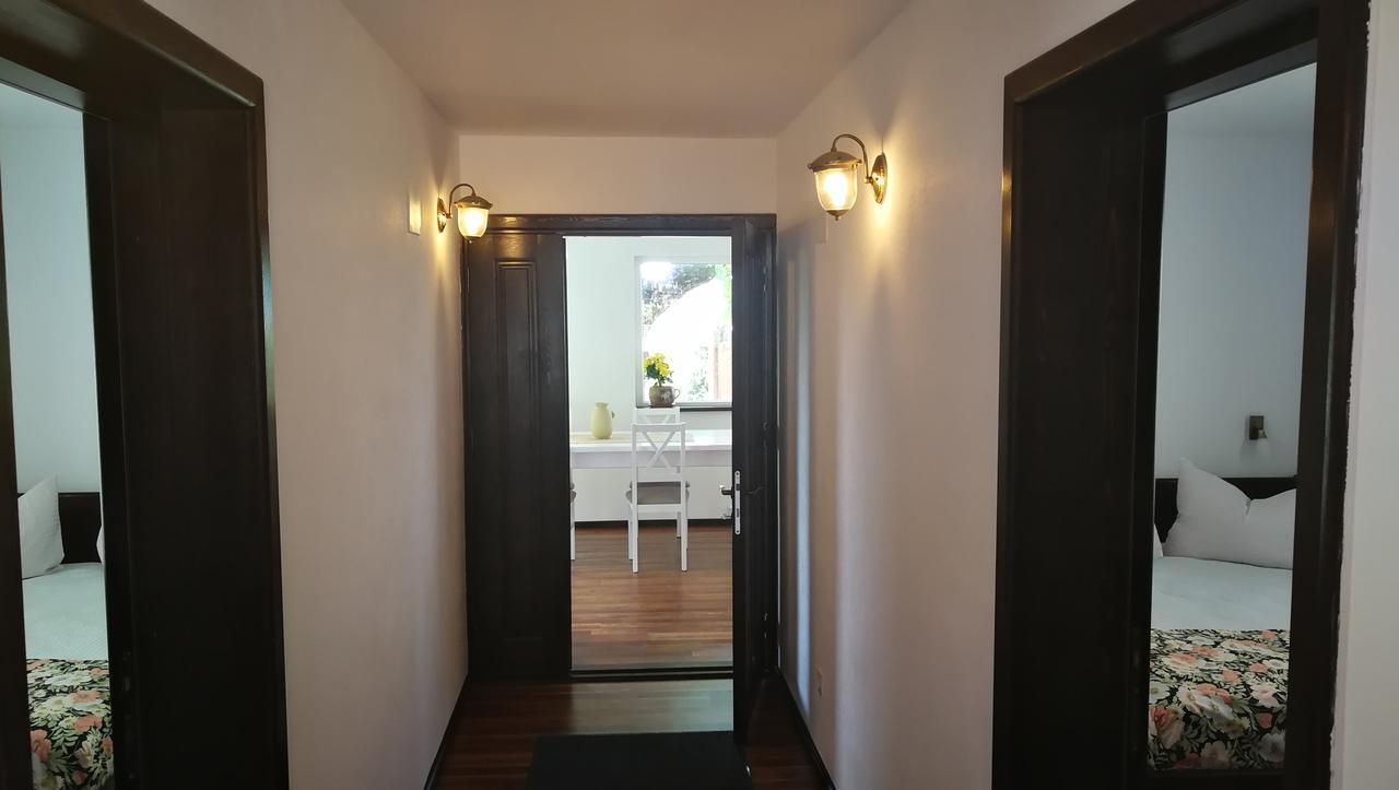 Pension Casa Contelui Râșnov Zewnętrze zdjęcie