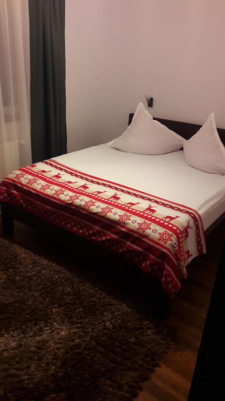 Pension Casa Contelui Râșnov Zewnętrze zdjęcie